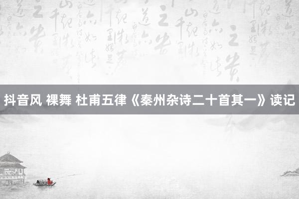 抖音风 裸舞 杜甫五律《秦州杂诗二十首其一》读记