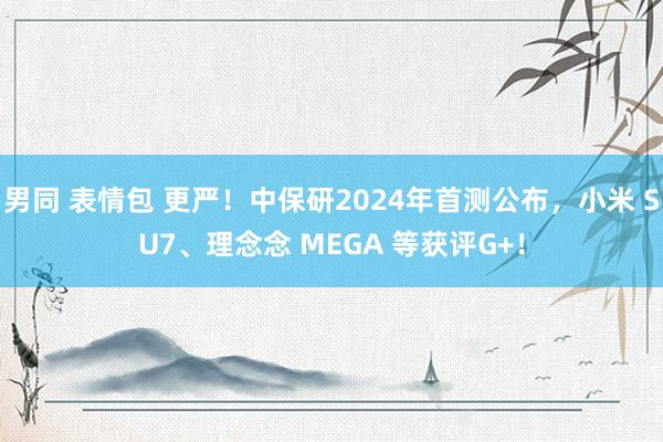 男同 表情包 更严！中保研2024年首测公布，小米 SU7、理念念 MEGA 等获评G+！