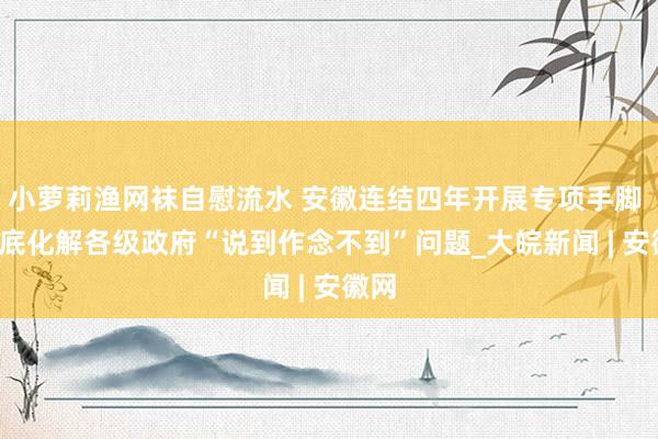 小萝莉渔网袜自慰流水 安徽连结四年开展专项手脚   起底化解各级政府“说到作念不到”问题_大皖新闻 | 安徽网