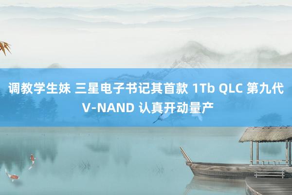 调教学生妹 三星电子书记其首款 1Tb QLC 第九代 V-NAND 认真开动量产