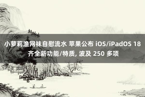 小萝莉渔网袜自慰流水 苹果公布 iOS/iPadOS 18 齐全新功能/特质， 波及 250 多项