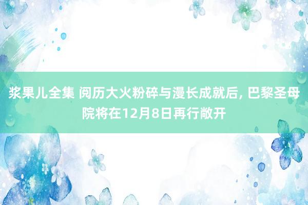 浆果儿全集 阅历大火粉碎与漫长成就后， 巴黎圣母院将在12月8日再行敞开