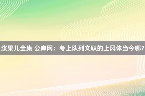 浆果儿全集 公岸网：考上队列文职的上风体当今哪？