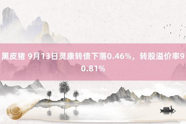 黑皮猪 9月13日灵康转债下落0.46%，转股溢价率90.81%