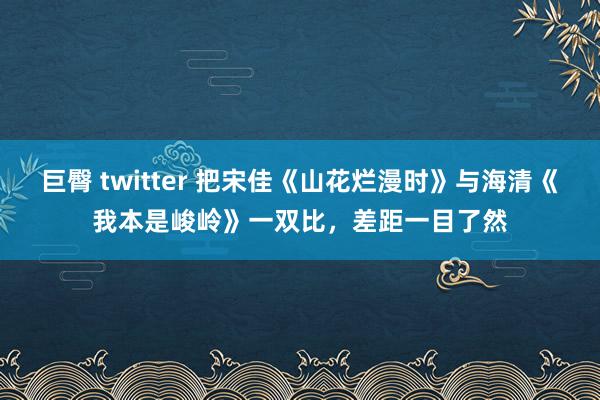 巨臀 twitter 把宋佳《山花烂漫时》与海清《我本是峻岭》一双比，差距一目了然