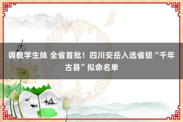 调教学生妹 全省首批！四川安岳入选省级“千年古县”拟命名单