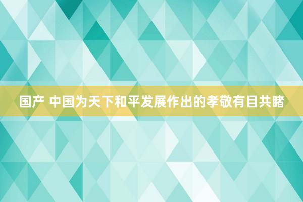 国产 中国为天下和平发展作出的孝敬有目共睹