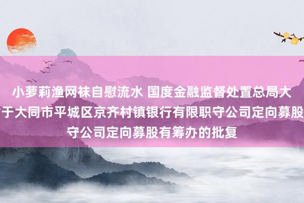 小萝莉渔网袜自慰流水 国度金融监督处置总局大同监管分局对于大同市平城区京齐村镇银行有限职守公司定向募股有筹办的批复