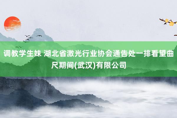 调教学生妹 湖北省激光行业协会通告处一排看望曲尺期间(武汉)有限公司