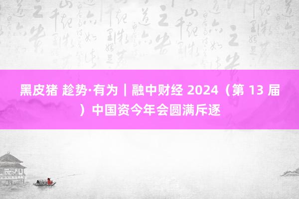 黑皮猪 趁势·有为｜融中财经 2024（第 13 届）中国资今年会圆满斥逐