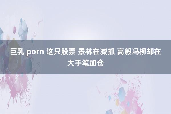 巨乳 porn 这只股票 景林在减抓 高毅冯柳却在大手笔加仓