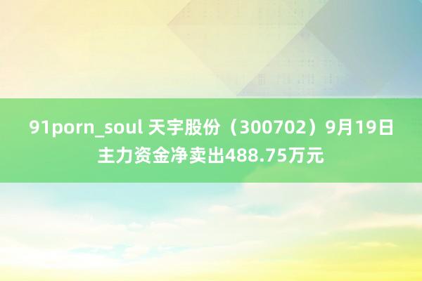 91porn_soul 天宇股份（300702）9月19日主力资金净卖出488.75万元