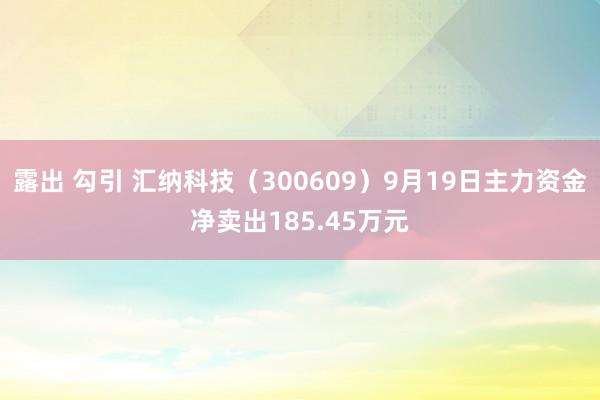 露出 勾引 汇纳科技（300609）9月19日主力资金净卖出185.45万元