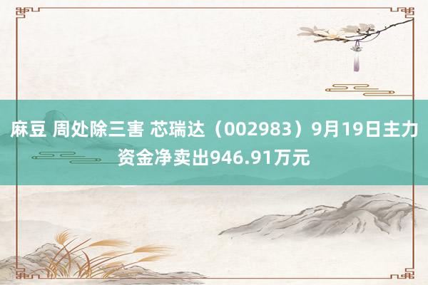 麻豆 周处除三害 芯瑞达（002983）9月19日主力资金净卖出946.91万元