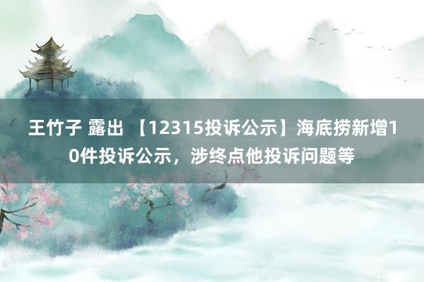 王竹子 露出 【12315投诉公示】海底捞新增10件投诉公示，涉终点他投诉问题等