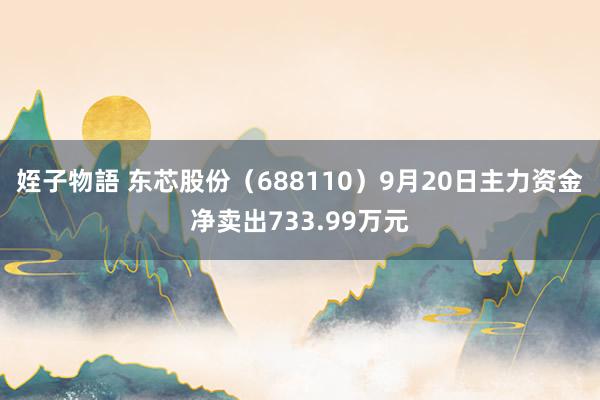 姪子物語 东芯股份（688110）9月20日主力资金净卖出733.99万元