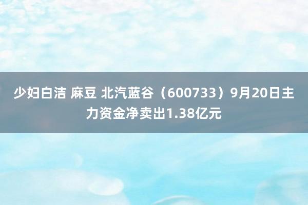 少妇白洁 麻豆 北汽蓝谷（600733）9月20日主力资金净卖出1.38亿元