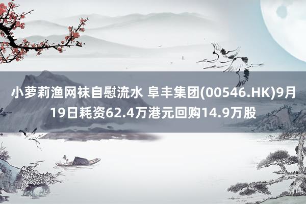 小萝莉渔网袜自慰流水 阜丰集团(00546.HK)9月19日耗资62.4万港元回购14.9万股