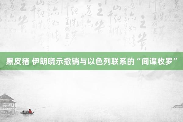 黑皮猪 伊朗晓示撤销与以色列联系的“间谍收罗”