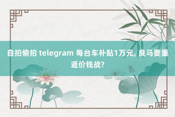 自拍偷拍 telegram 每台车补贴1万元， 良马要重返价钱战?