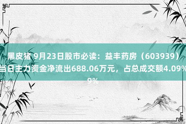 黑皮猪 9月23日股市必读：益丰药房（603939）当日主力资金净流出688.06万元，占总成交额4.09%