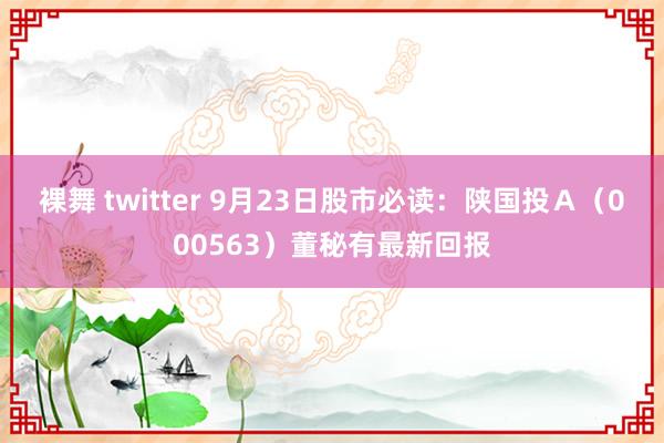 裸舞 twitter 9月23日股市必读：陕国投Ａ（000563）董秘有最新回报