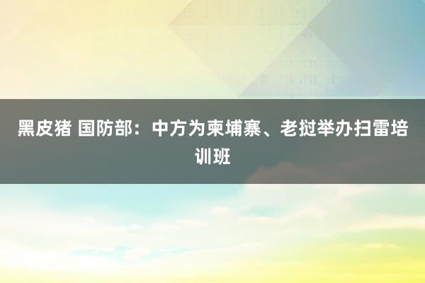 黑皮猪 国防部：中方为柬埔寨、老挝举办扫雷培训班