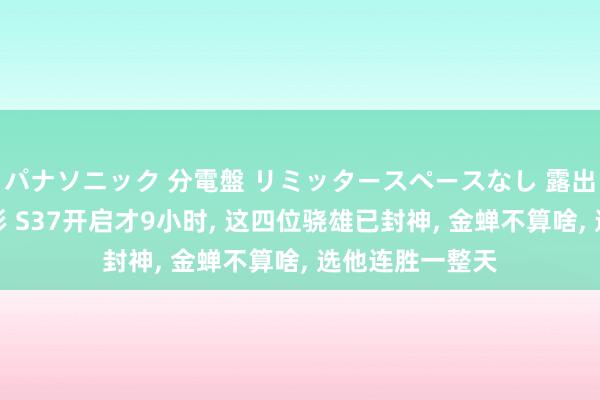 パナソニック 分電盤 リミッタースペースなし 露出・半埋込両用形 S37开启才9小时， 这四位骁雄已封神， 金蝉不算啥， 选他连胜一整天