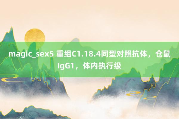 magic_sex5 重组C1.18.4同型对照抗体，仓鼠IgG1，体内执行级