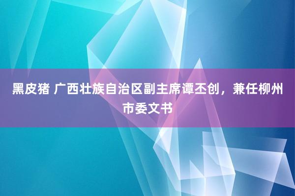 黑皮猪 广西壮族自治区副主席谭丕创，兼任柳州市委文书