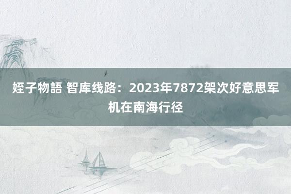 姪子物語 智库线路：2023年7872架次好意思军机在南海行径