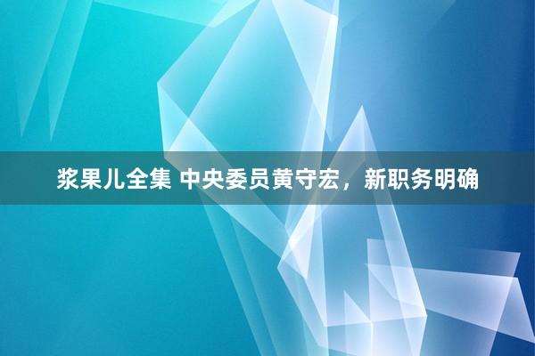 浆果儿全集 中央委员黄守宏，新职务明确