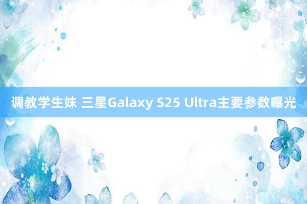 调教学生妹 三星Galaxy S25 Ultra主要参数曝光