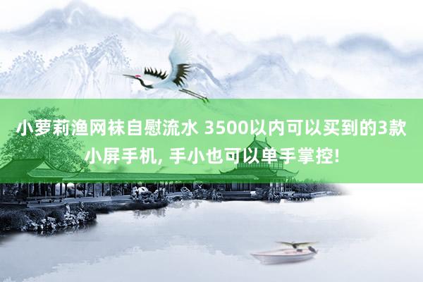 小萝莉渔网袜自慰流水 3500以内可以买到的3款小屏手机， 手小也可以单手掌控!