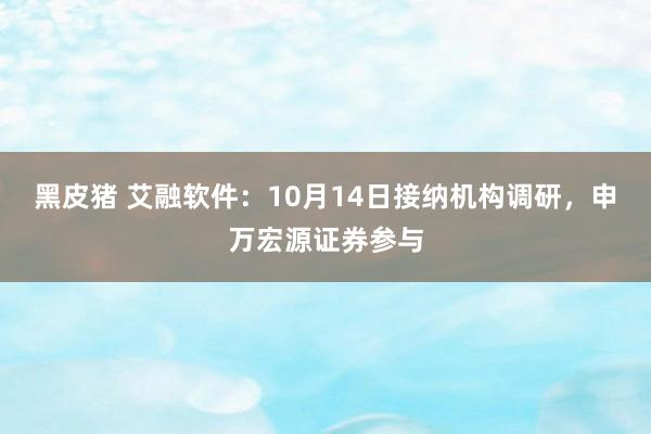 黑皮猪 艾融软件：10月14日接纳机构调研，申万宏源证券参与