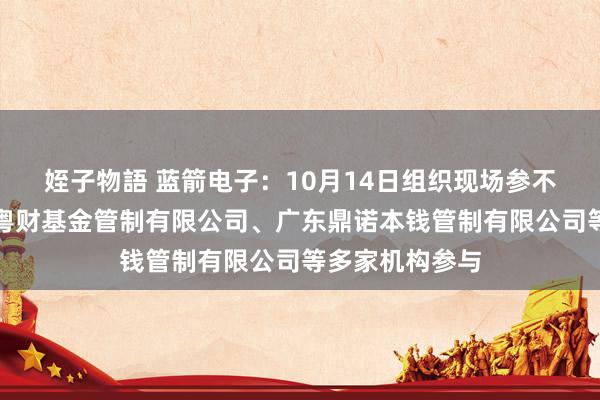 姪子物語 蓝箭电子：10月14日组织现场参不雅举止，广东粤财基金管制有限公司、广东鼎诺本钱管制有限公司等多家机构参与