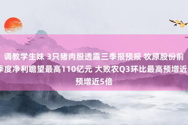 调教学生妹 3只猪肉股透露三季报预报 牧原股份前三季度净利瞻望最高110亿元 大败农Q3环比最高预增近5倍