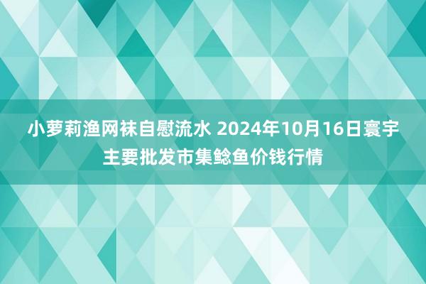 小萝莉渔网袜自慰流水 2024年10月16日寰宇主要批发市集鲶鱼价钱行情