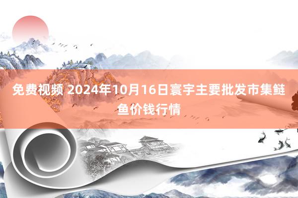 免费视频 2024年10月16日寰宇主要批发市集鲢鱼价钱行情