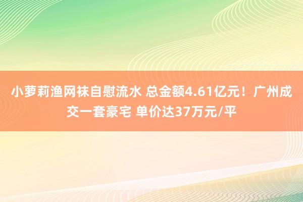 小萝莉渔网袜自慰流水 总金额4.61亿元！广州成交一套豪宅 单价达37万元/平