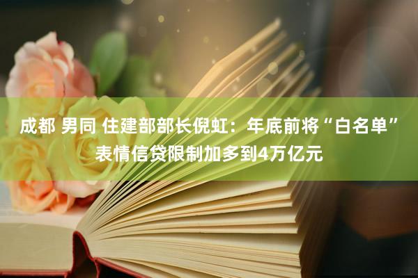 成都 男同 住建部部长倪虹：年底前将“白名单”表情信贷限制加多到4万亿元