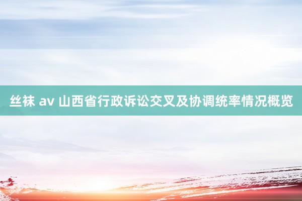 丝袜 av 山西省行政诉讼交叉及协调统率情况概览