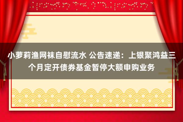 小萝莉渔网袜自慰流水 公告速递：上银聚鸿益三个月定开债券基金暂停大额申购业务