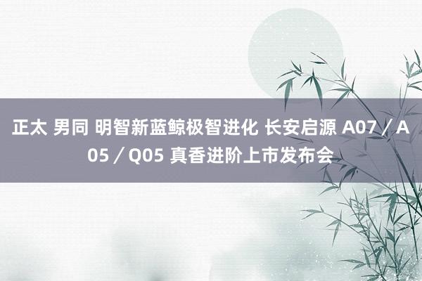 正太 男同 明智新蓝鲸极智进化 长安启源 A07／A05／Q05 真香进阶上市发布会