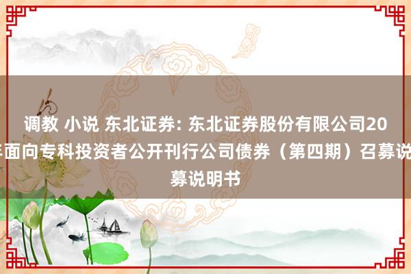 调教 小说 东北证券: 东北证券股份有限公司2024年面向专科投资者公开刊行公司债券（第四期）召募说明书