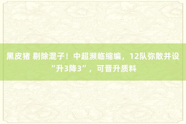 黑皮猪 剔除混子！中超濒临缩编，12队弥散并设“升3降3”，可晋升质料