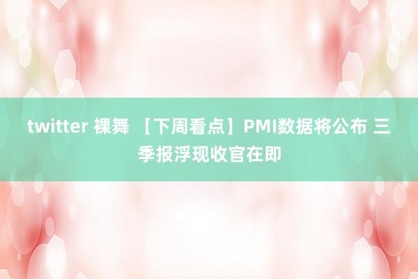 twitter 裸舞 【下周看点】PMI数据将公布 三季报浮现收官在即