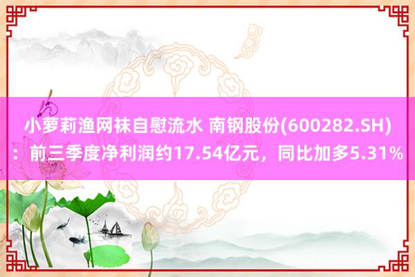 小萝莉渔网袜自慰流水 南钢股份(600282.SH)：前三季度净利润约17.54亿元，同比加多5.31%