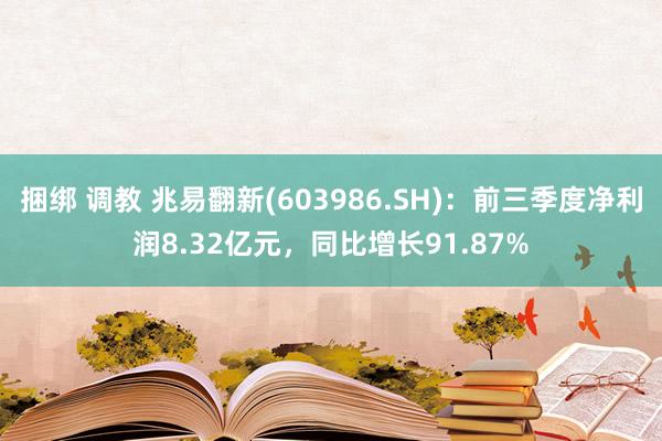 捆绑 调教 兆易翻新(603986.SH)：前三季度净利润8.32亿元，同比增长91.87%