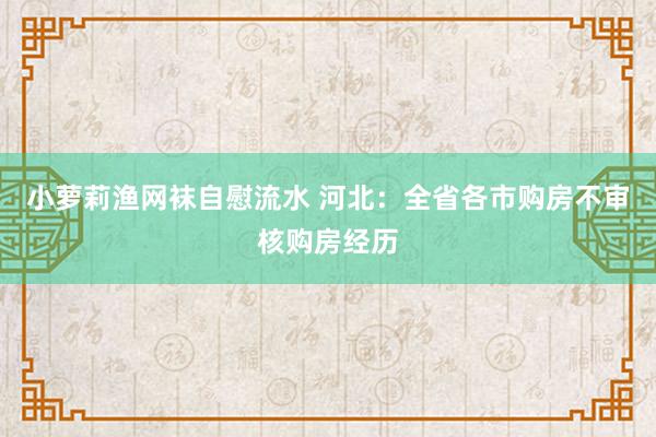 小萝莉渔网袜自慰流水 河北：全省各市购房不审核购房经历